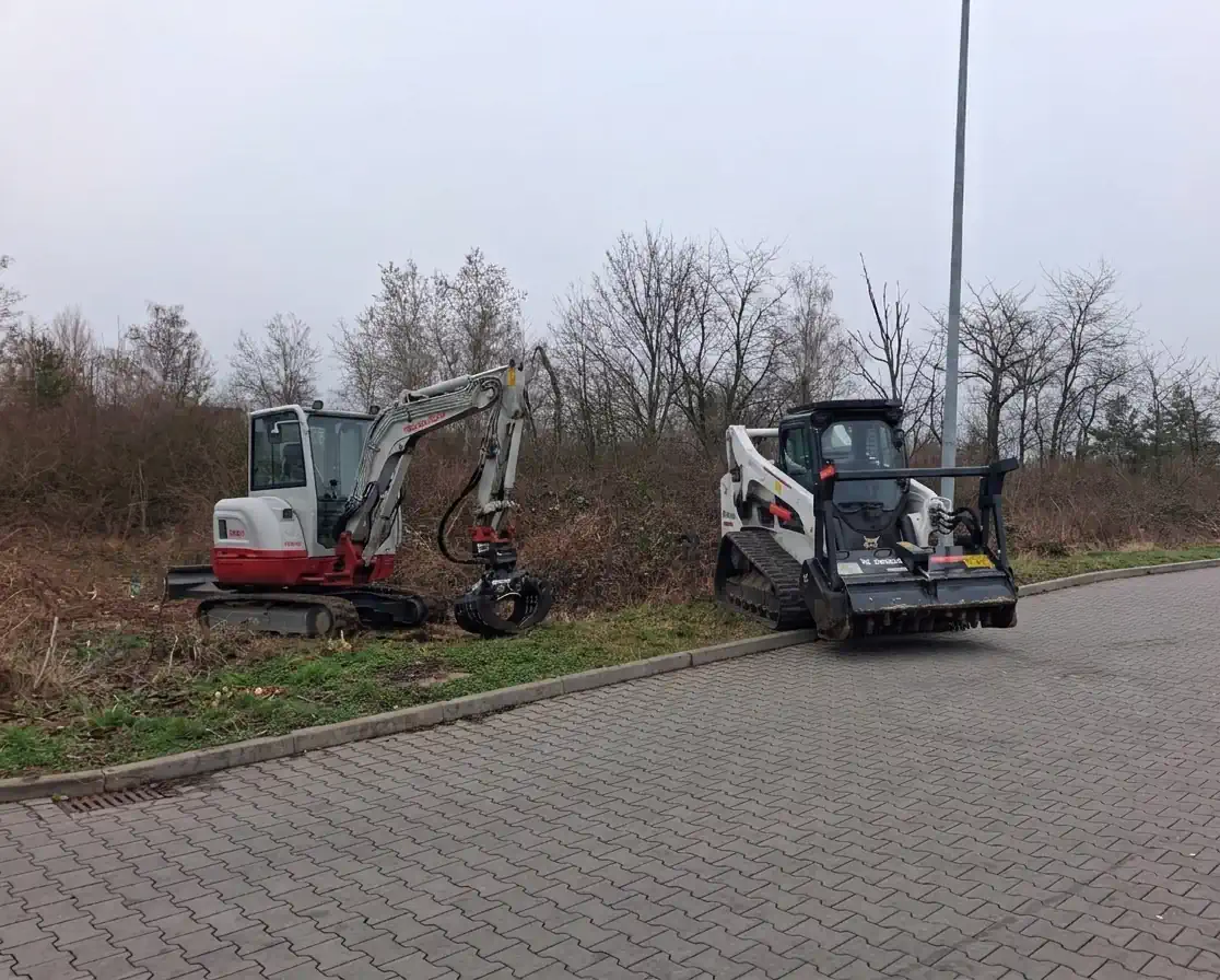 Forstfr&auml;se an Kettenlader