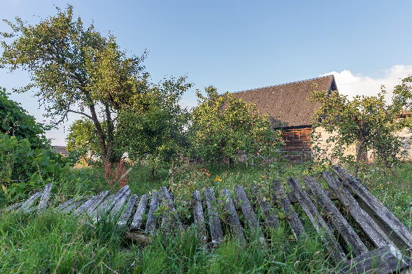 Flächenentsiegelung Rodung